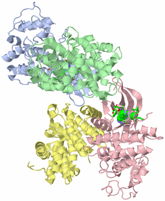 Image Asym. Unit - sites