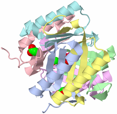 Image Biological Unit 1