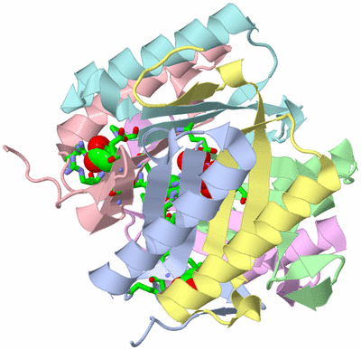 Image Biol. Unit 1 - sites