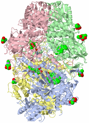 Image Asym./Biol. Unit