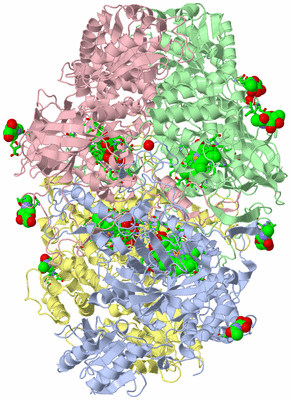 Image Asym./Biol. Unit - sites