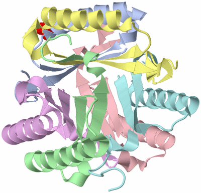 Image Biological Unit 1