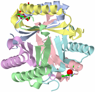 Image Biol. Unit 1 - sites