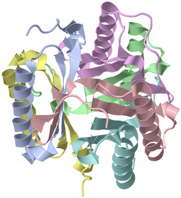 Image Asym./Biol. Unit