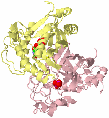 Image Biological Unit 2