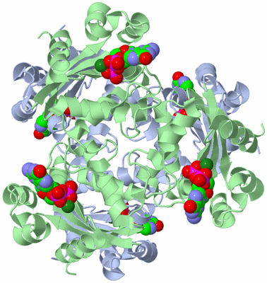 Image Biological Unit 2