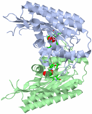 Image Asym./Biol. Unit - sites