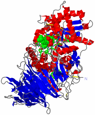 Image Asym./Biol. Unit - sites