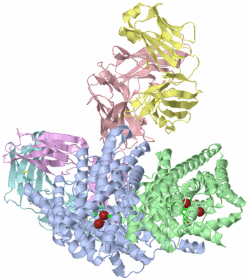 Image Biol. Unit 1 - sites