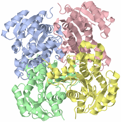 Image Asym./Biol. Unit