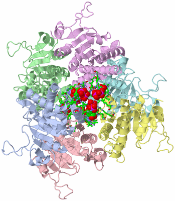 Image Asym./Biol. Unit - sites