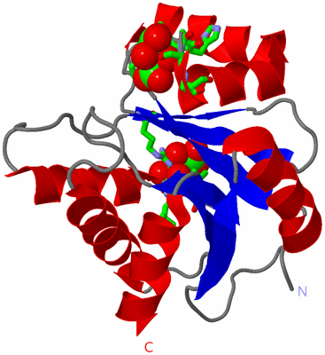 Image Asym./Biol. Unit - sites