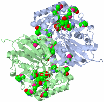 Image Biological Unit 2