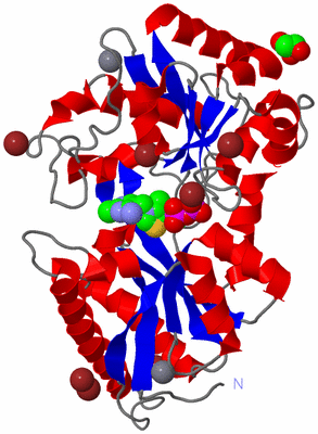 Image Asym./Biol. Unit