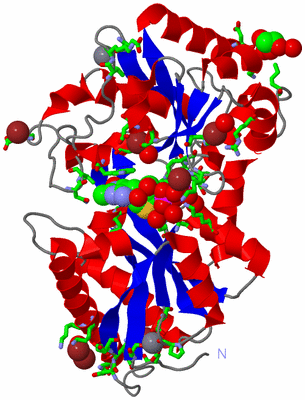 Image Asym./Biol. Unit - sites