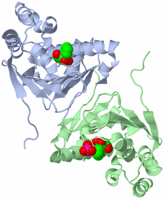 Image Biological Unit 3