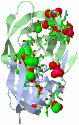 Image Biol. Unit 1 - sites