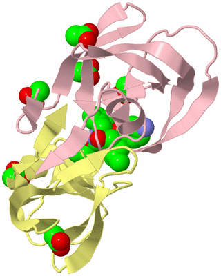 Image Biological Unit 2