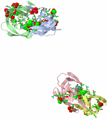 Image Asym. Unit - sites