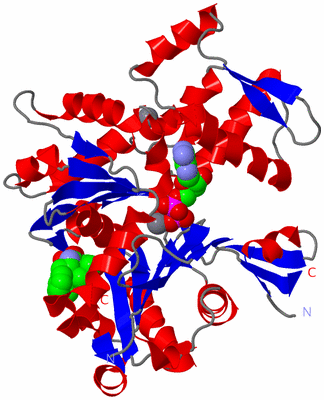 Image Asym./Biol. Unit