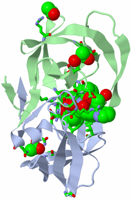 Image Asym./Biol. Unit - sites