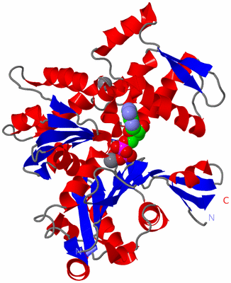 Image Asym./Biol. Unit