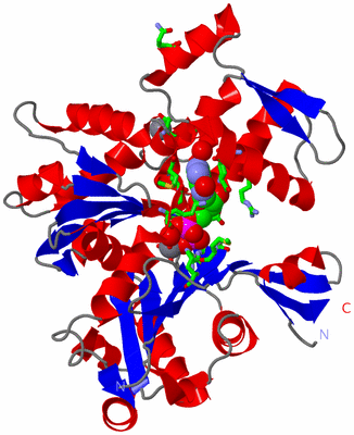 Image Asym./Biol. Unit - sites