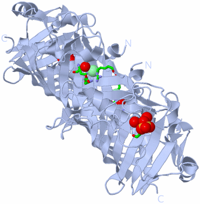 Image Biol. Unit 1 - sites