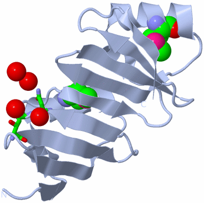 Image Biol. Unit 1 - sites