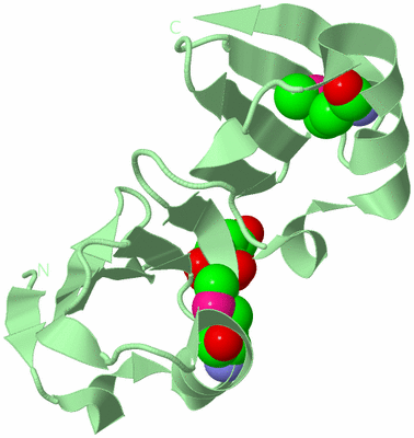 Image Biological Unit 2