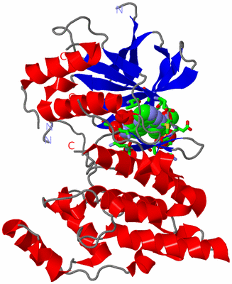 Image Asym./Biol. Unit - sites