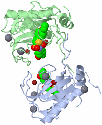 Image Biological Unit 2