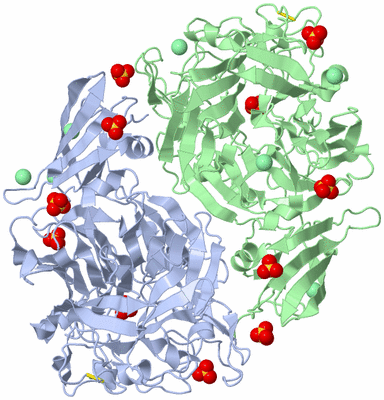 Image Biological Unit 2