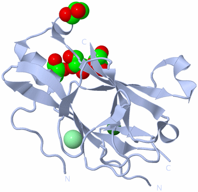 Image Biological Unit 1