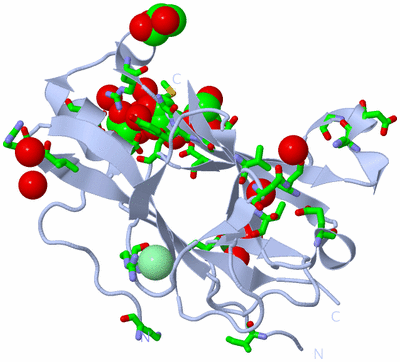 Image Biol. Unit 1 - sites