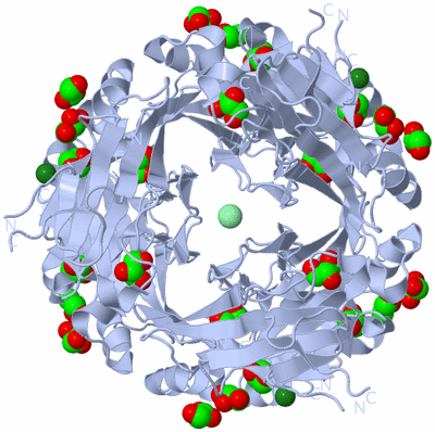 Image Biological Unit 2