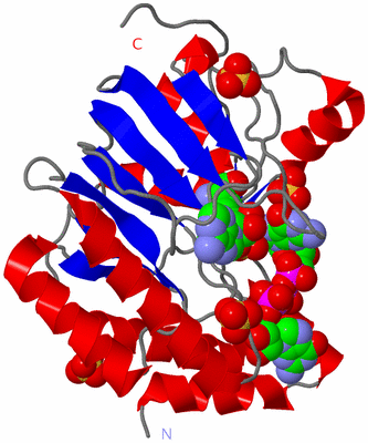 Image Asym./Biol. Unit