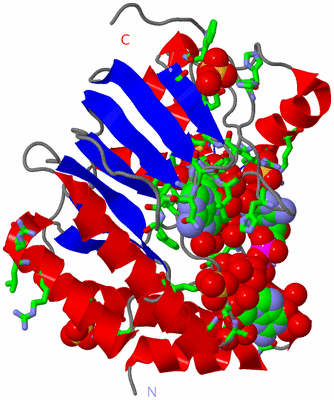 Image Asym./Biol. Unit - sites