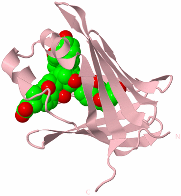 Image Biological Unit 3