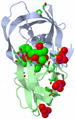 Image Biol. Unit 1 - sites