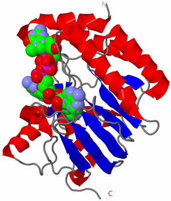 Image Asym./Biol. Unit