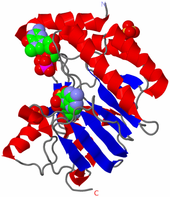 Image Asym./Biol. Unit