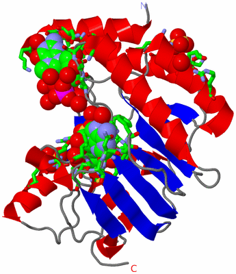 Image Asym./Biol. Unit - sites