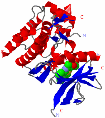 Image Asym./Biol. Unit