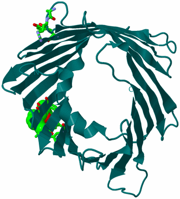 Image Biol. Unit 1 - sites