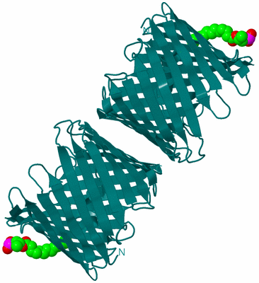 Image Biological Unit 2