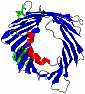 Image Asym. Unit - sites