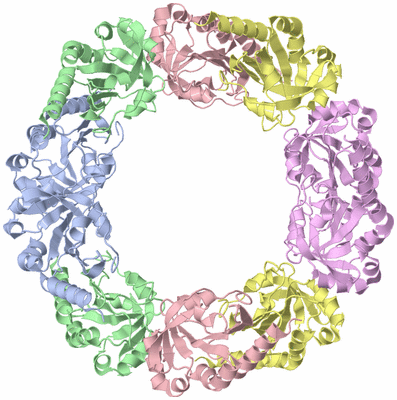 Image Biological Unit 1