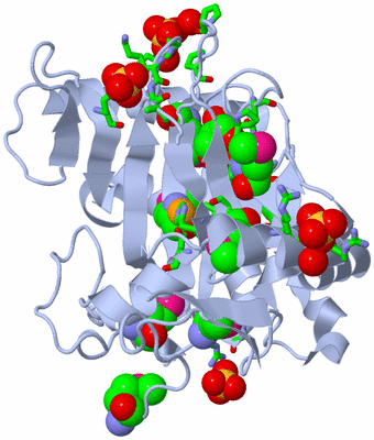 Image Biol. Unit 1 - sites