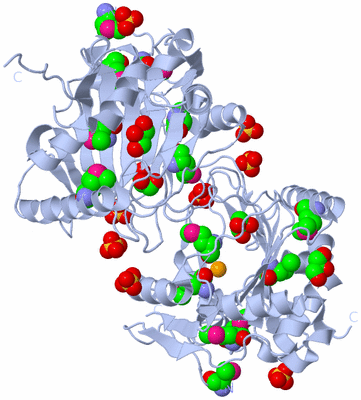 Image Biological Unit 2